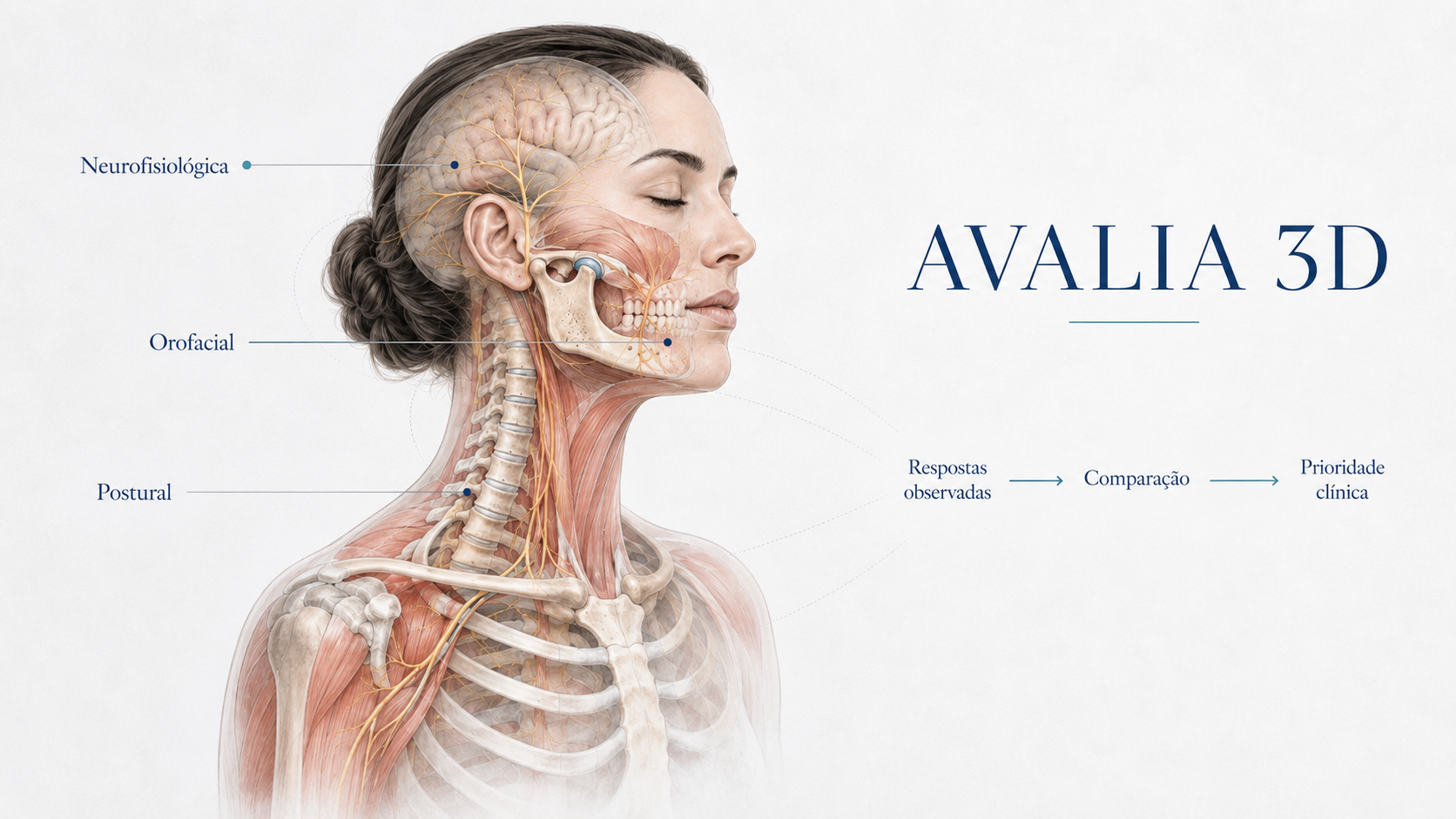 Método Avalia 3D e suas dimensões neurofisiológica, postural e orofacial